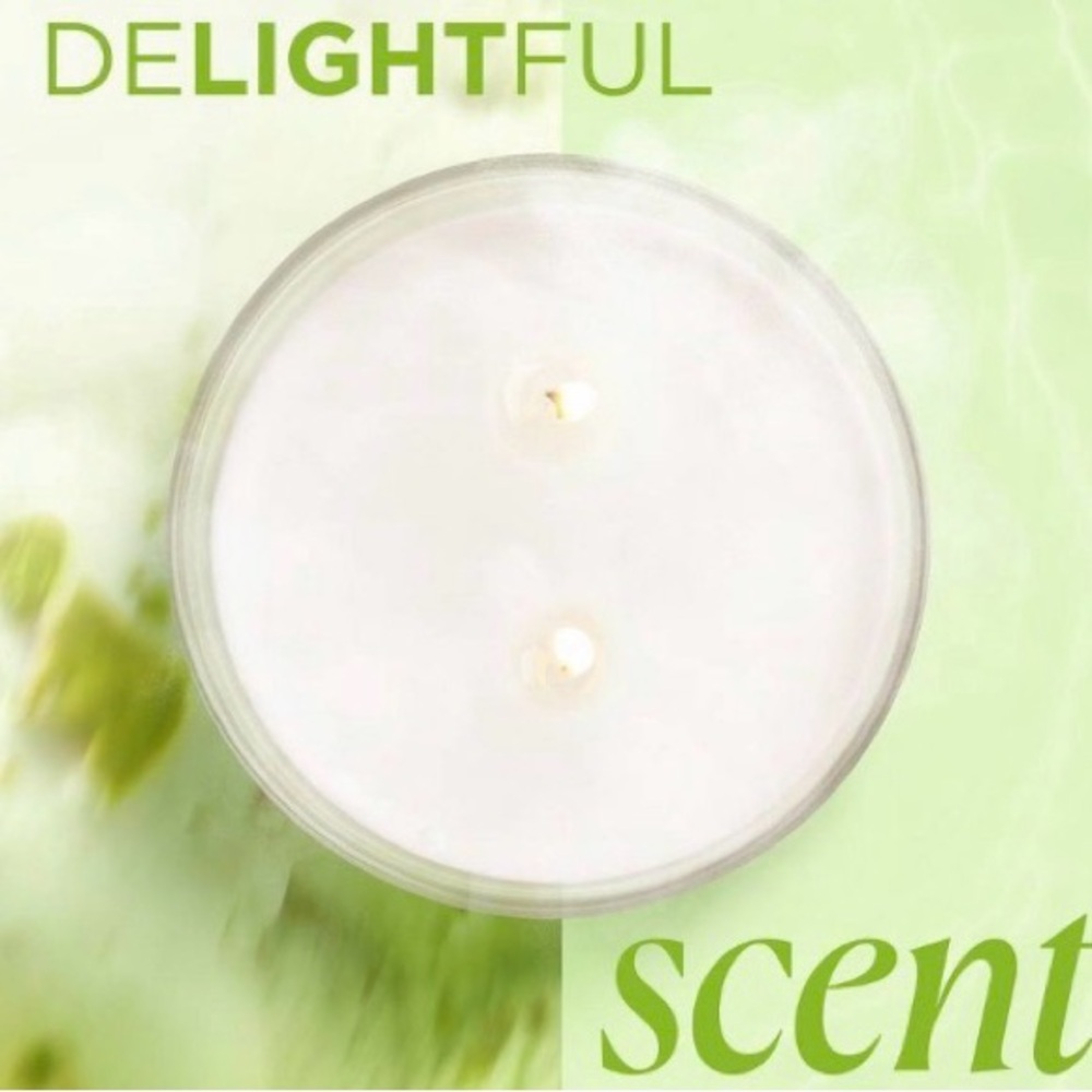 BELOVED NWT pistachio ice cream vegan scented 2 wick glass jar candle -11.5oz - Picture 3 of 5